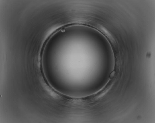X0000096660940200802051215