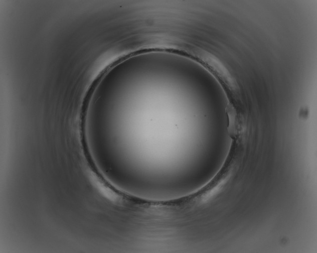 X0000096660942200802051215