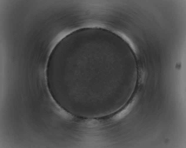 X0000096660943200802051215