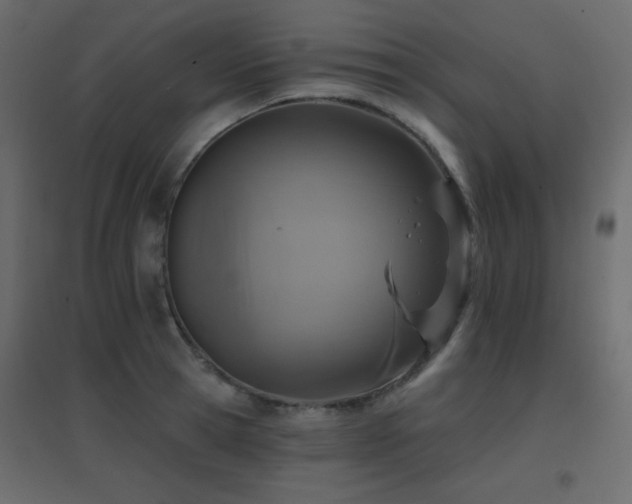X0000096660945200802051215