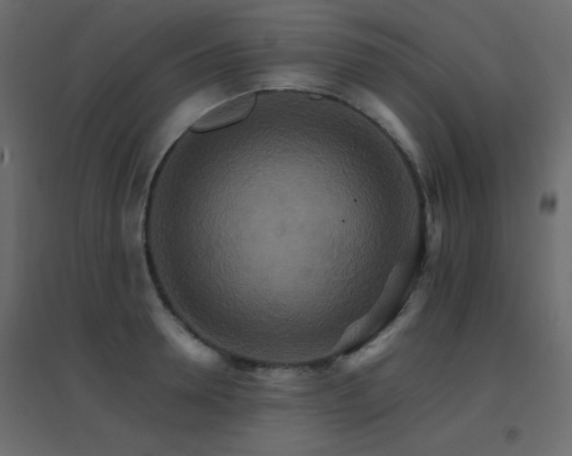X0000096660946200802051215