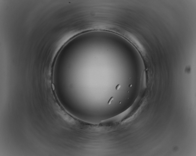 X0000096660948200802051215