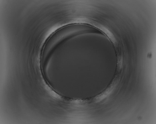 X0000096660950200802051215