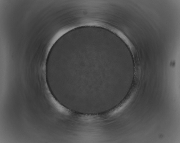 X0000096660951200802051215