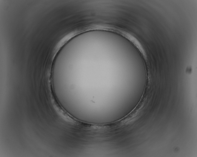 X0000096660954200802051215