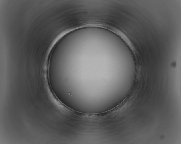 X0000096660955200802051215