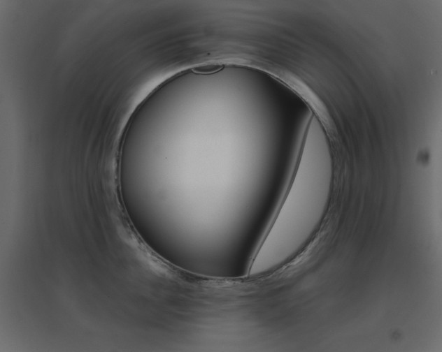 X0000096660956200802051215