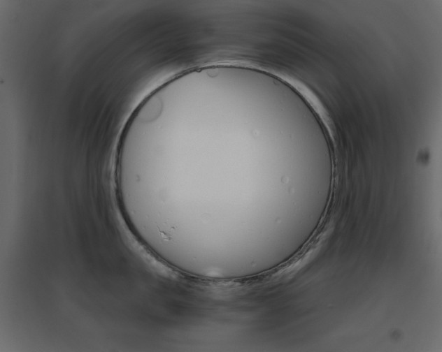 X0000096660957200802051215