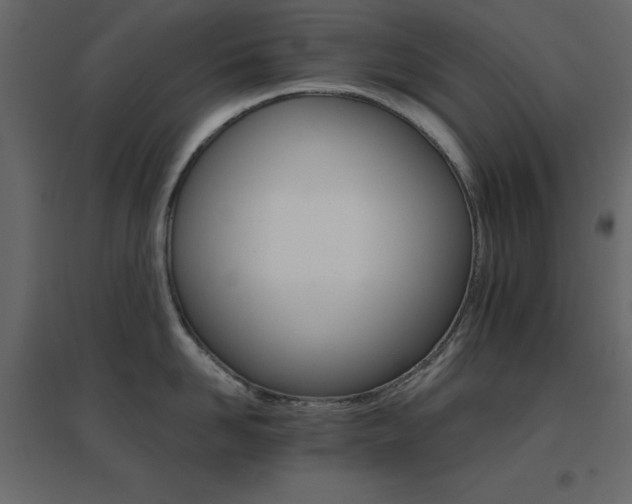 X0000096660958200802051215