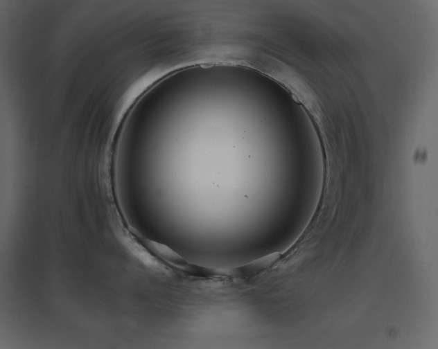 X0000096660960200802051215