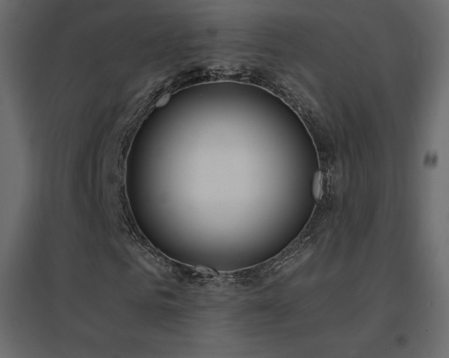 X0000096660961200802051215