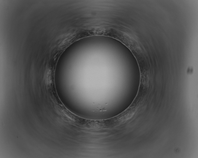 X0000096660962200802051215
