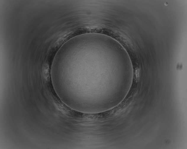 X0000096660963200802051215