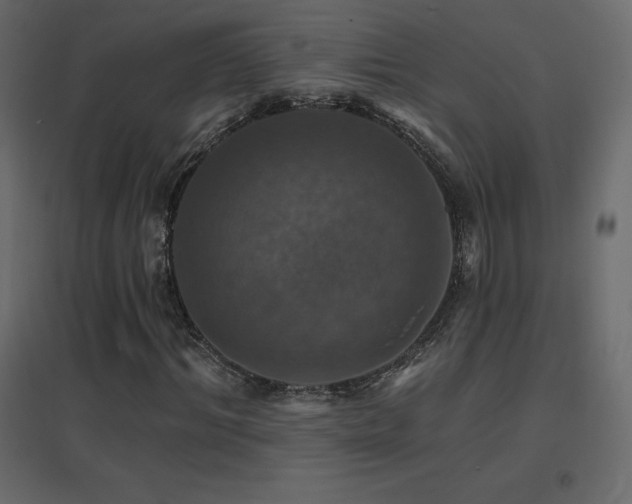 X0000096660964200802051215
