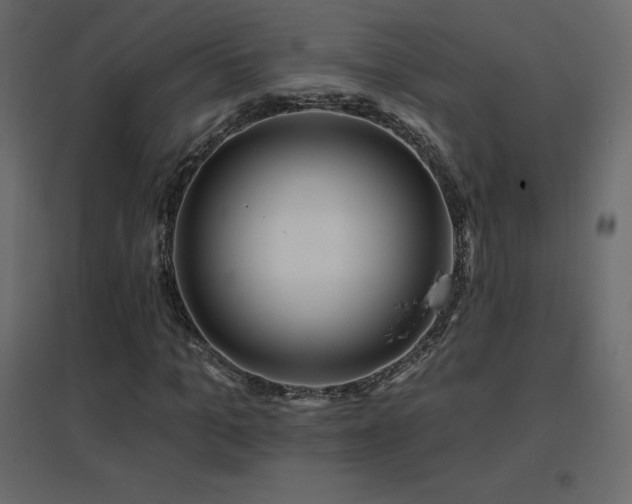X0000096660965200802051215