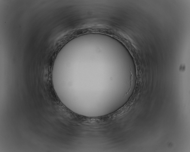 X0000096660966200802051215