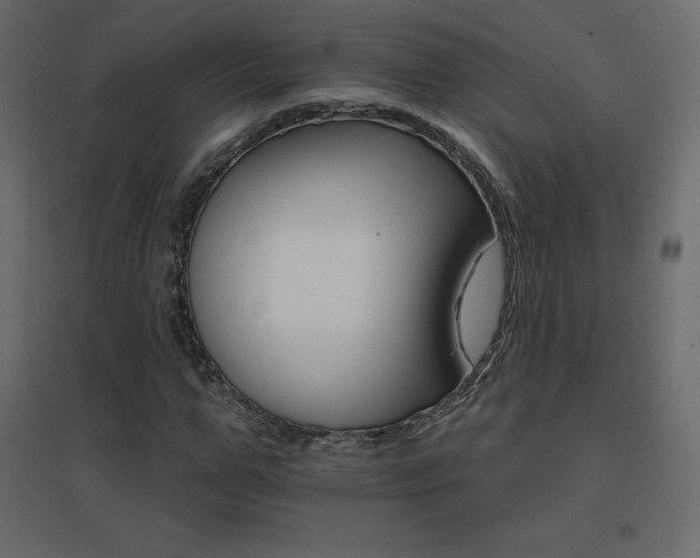 X0000096660967200802051214