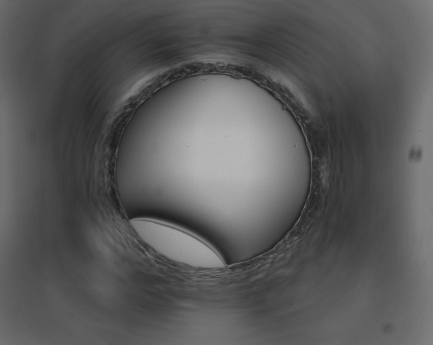 X0000096660968200802051214
