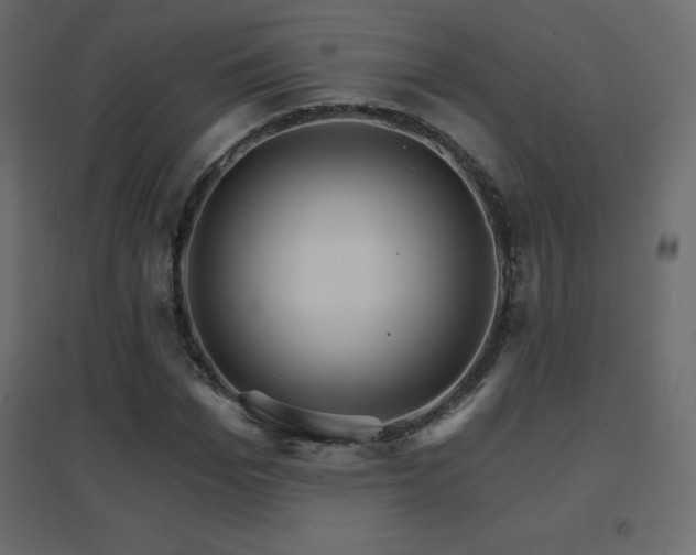 X0000096660969200802051214