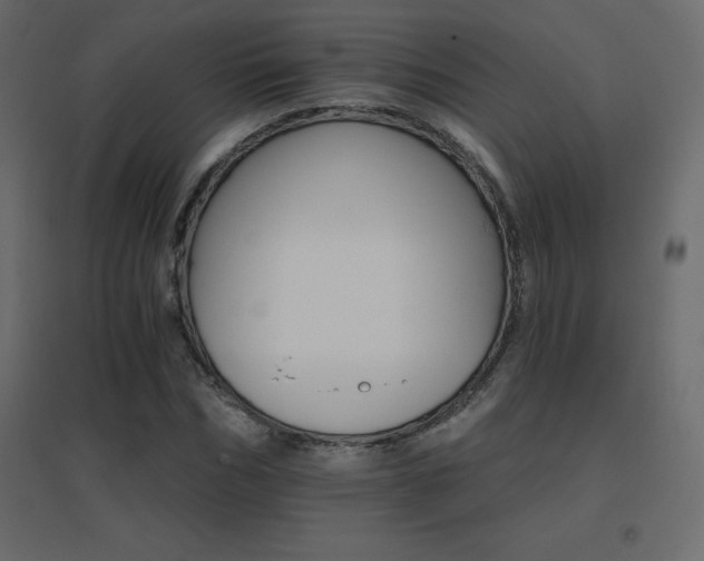 X0000096660970200802051214