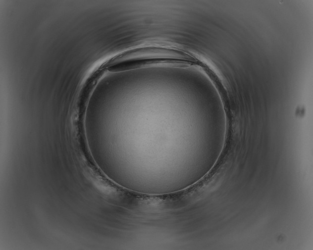X0000096660971200802051214