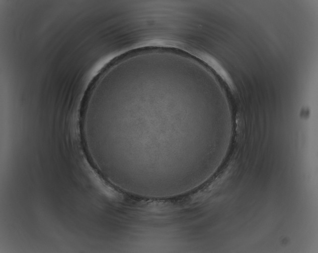 X0000096660972200802051214