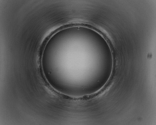 X0000096660973200802051214