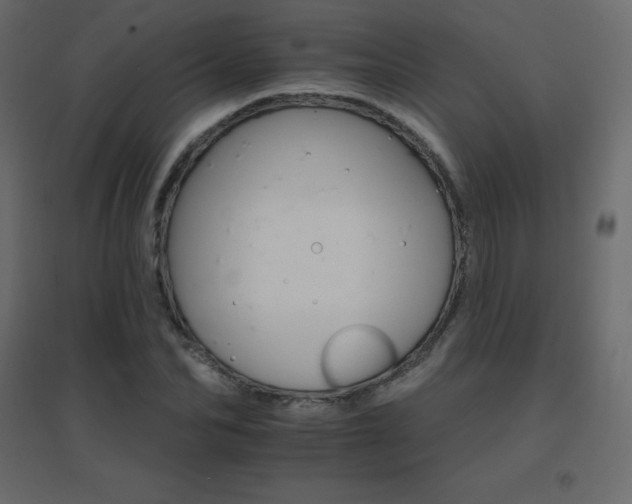 X0000096660974200802051214