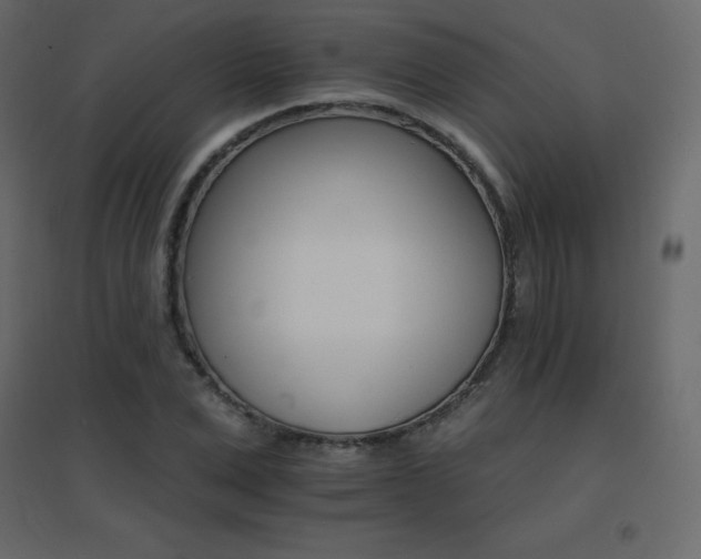 X0000096660975200802051214