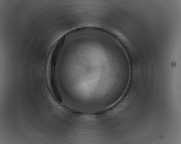 X0000096660977200802051214