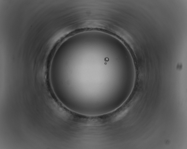 X0000096660979200802051214