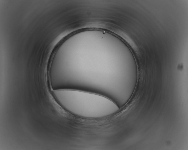 X0000096660980200802051214