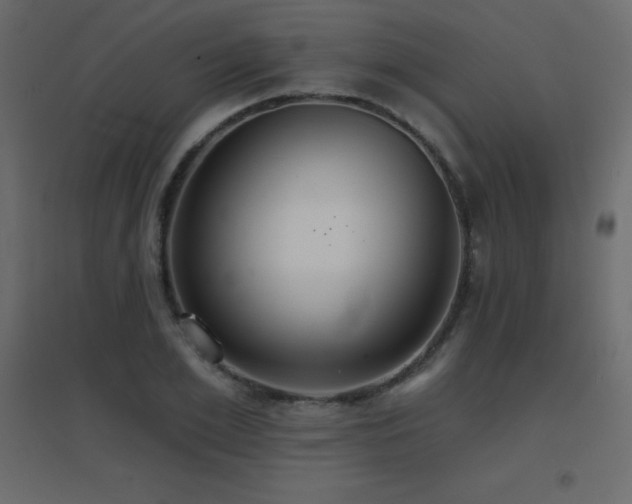 X0000096660981200802051214