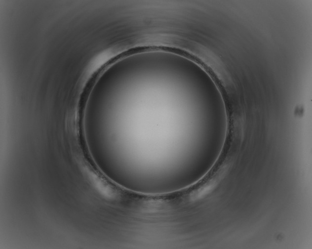 X0000096660982200802051214