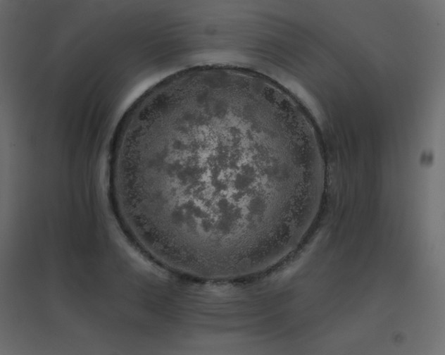 X0000096660983200802051214