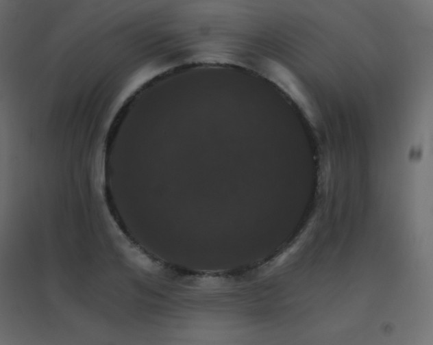 X0000096660984200802051214