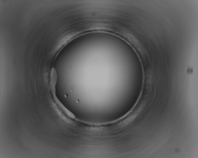 X0000096660985200802051214