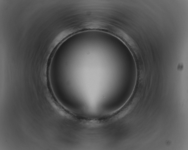 X0000096660986200802051214