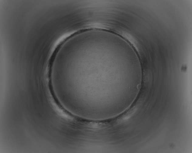 X0000096660987200802051214