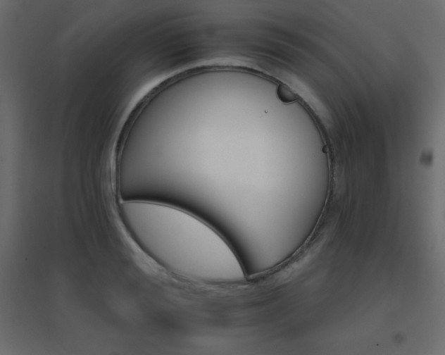 X0000096660988200802051214