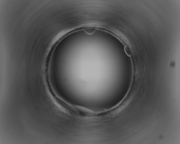 X0000096660989200802051214