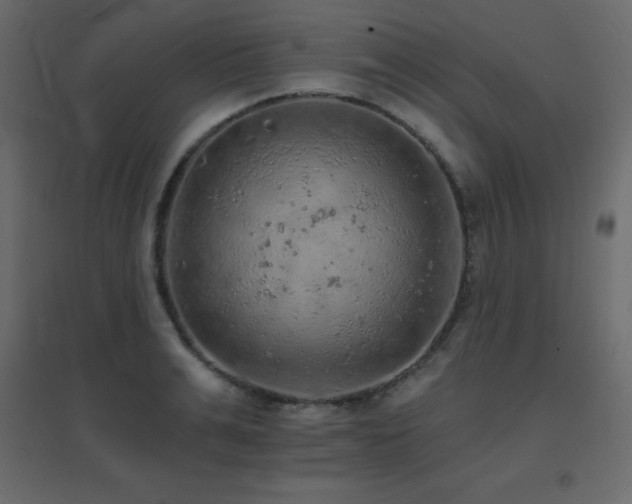 X0000096660991200802051214