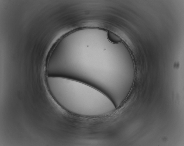 X0000096660992200802051214