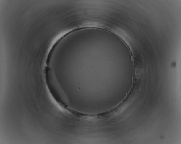 X0000096660995200802051214