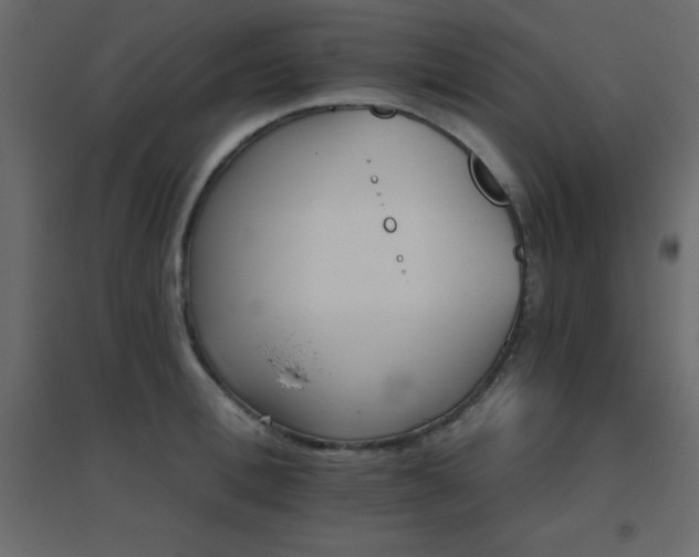 X0000096660996200802051214