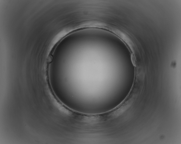 X0000096660997200802051214