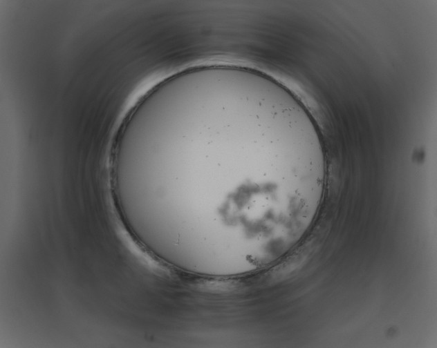 X0000096660998200802051214