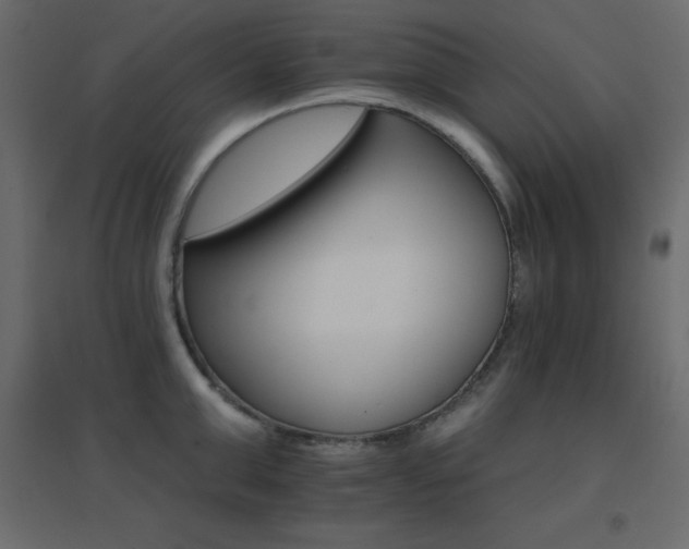 X0000096660999200802051214