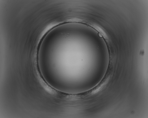 X0000096661000200802051214