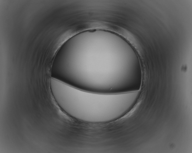 X0000096661001200802051214